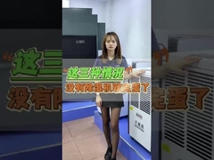 Refrigerative除湿器