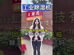 効率的な水分除去のための産業用脱湿剤 空間を涼しく乾燥させ